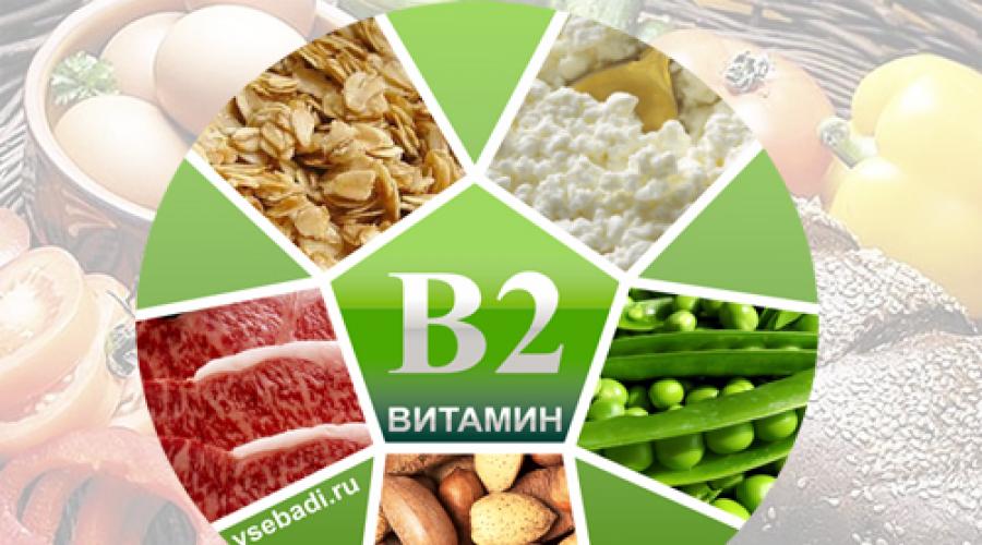 Влияет витамин в2. Витамин В2 (рибофлавин) обзор и полезные свойства для организма. Суточная норма потребления витамина в2