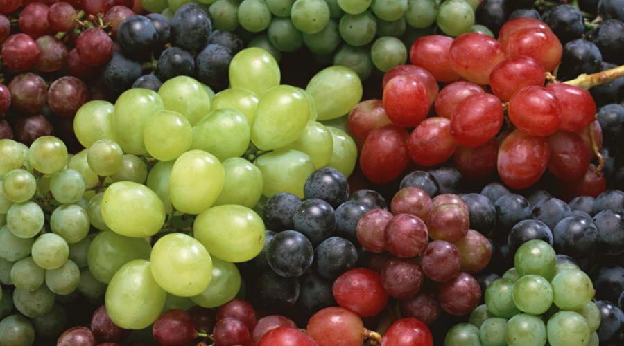 Маринованный виноград рецепты на зиму домашние. Маринованный виноград на зиму: рецепты. Закуска под водочку: виноградное безумие
