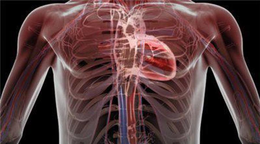 О чем свидетельствуют тянущие боли в области сердца, способы устранения неприятных симптомов. Почему возникает ноющая боль в области сердца? Постоянно тянет сердце