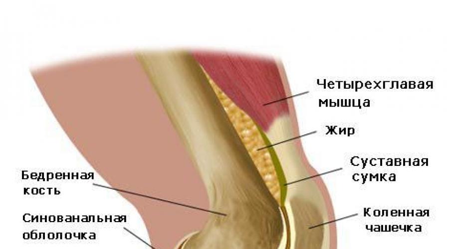 إذا كانت الركبة تؤلم في الراحة.  علاج مفاصل الركبة.  ماذا تفعل إذا أصيبت الركبة بأي سبب يمكن أن يؤلم مفصل الركبة
