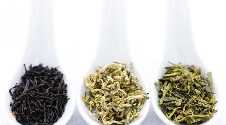 Как часто можно пить зеленый чай. Зеленый чай: польза и вред Полезен ли для желудка зеленый чай