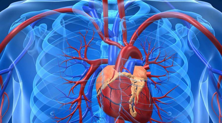 Легочная гипертензия в новых рекомендациях Европейского общества кардиологов (2015 г.). Легочное сердце: диагностика и лечение Пройти лечение в Корее, Израиле, Германии, США