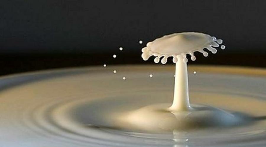 Молочный гриб (кефирный тибетский). Как пользоваться и хранить кефирный гриб: полезные свойства и противопоказания Кефирный гриб полезные свойства как выращивать