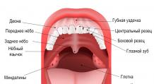 The palate of the mouth itches: causes, treatment
