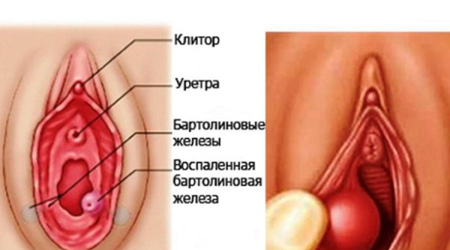 попытаемся быть Реальное порно с соседями кажется, что пора сменить