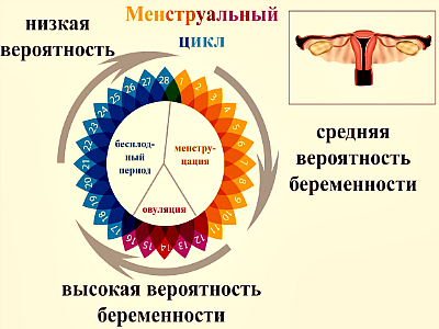 Вероятность забеременеть после