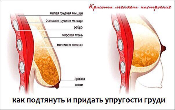 Как приготовить нутеллу в домашних условиях фото пошагово 17 Как приготовить нутеллу в домашних условиях фото пошагово 43