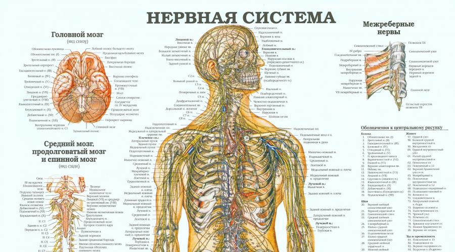 Прическа 17 Прическа 25